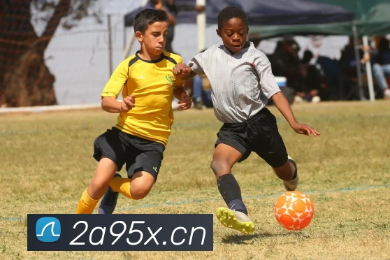 乐鱼官方网站在线登录发展历程